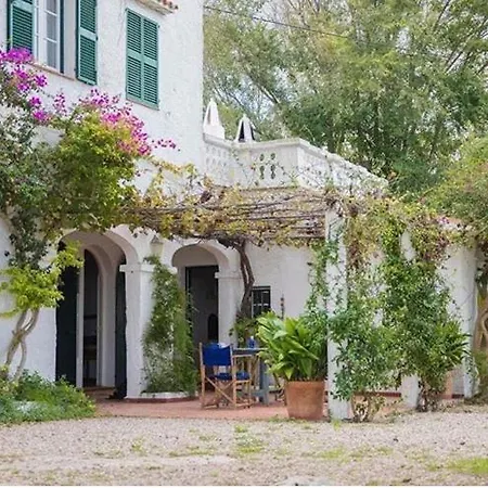 Binicalsitx * Ferreries