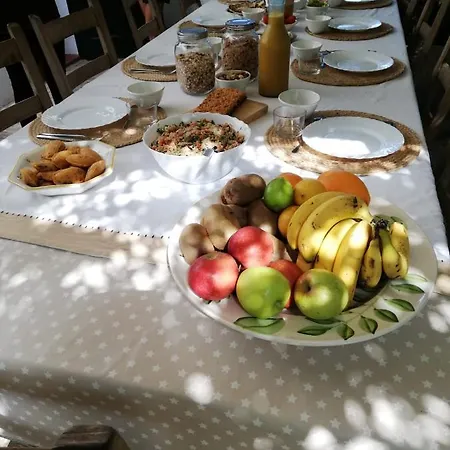 Binicalsitx Holiday home Ferreries